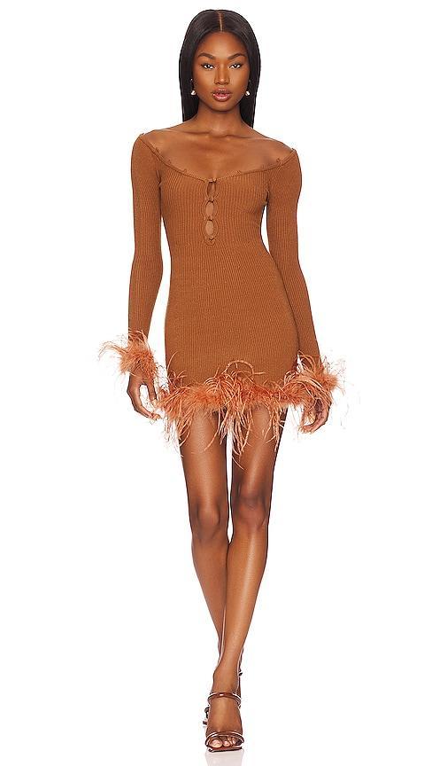 Lovers and Friends Jalen Feather Mini Dress in Cocoa Product Image