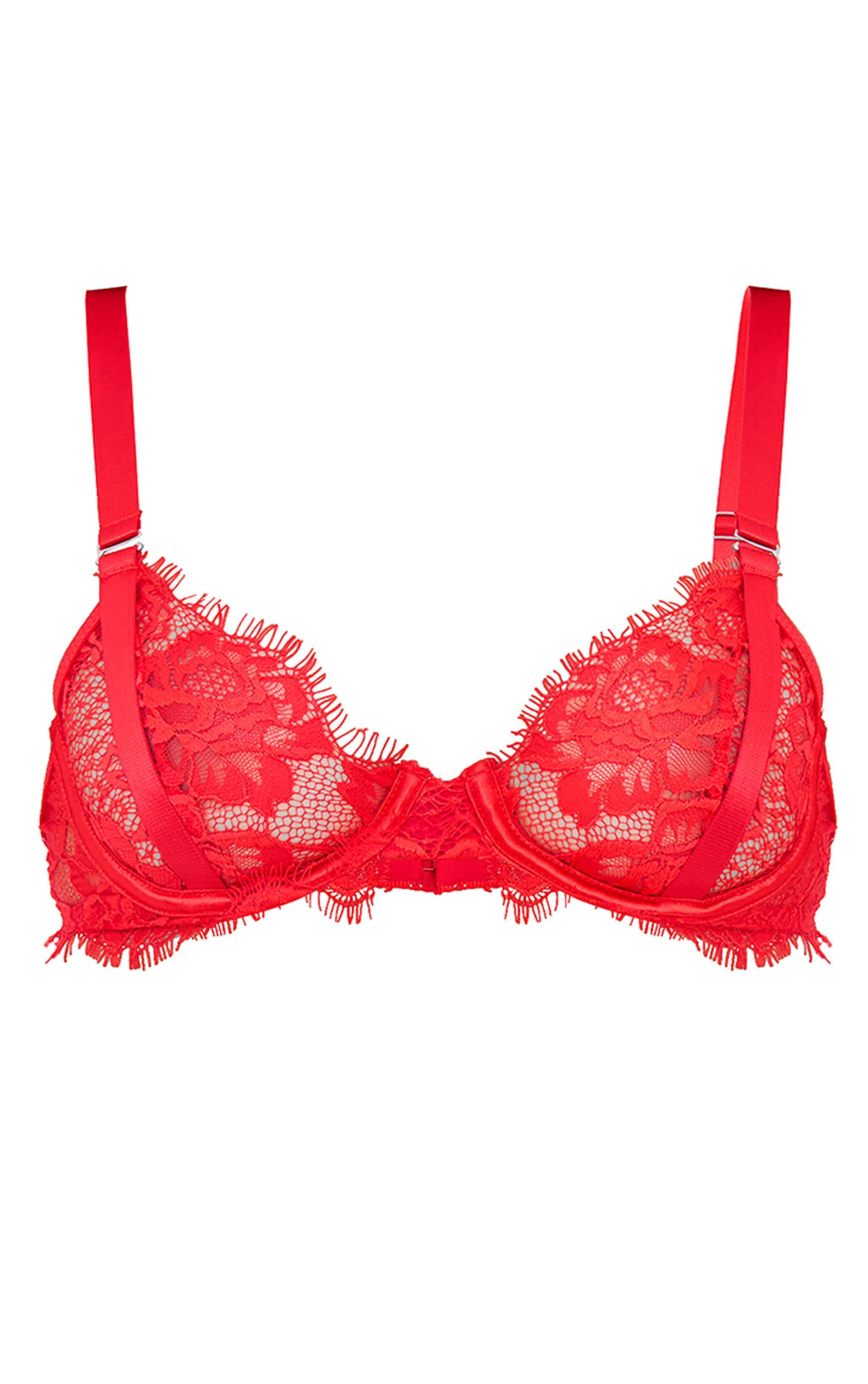 Red Eyelash Lace Thong Product Image