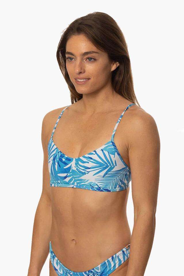 Hikari Bikini Top - La Jolla Female Product Image