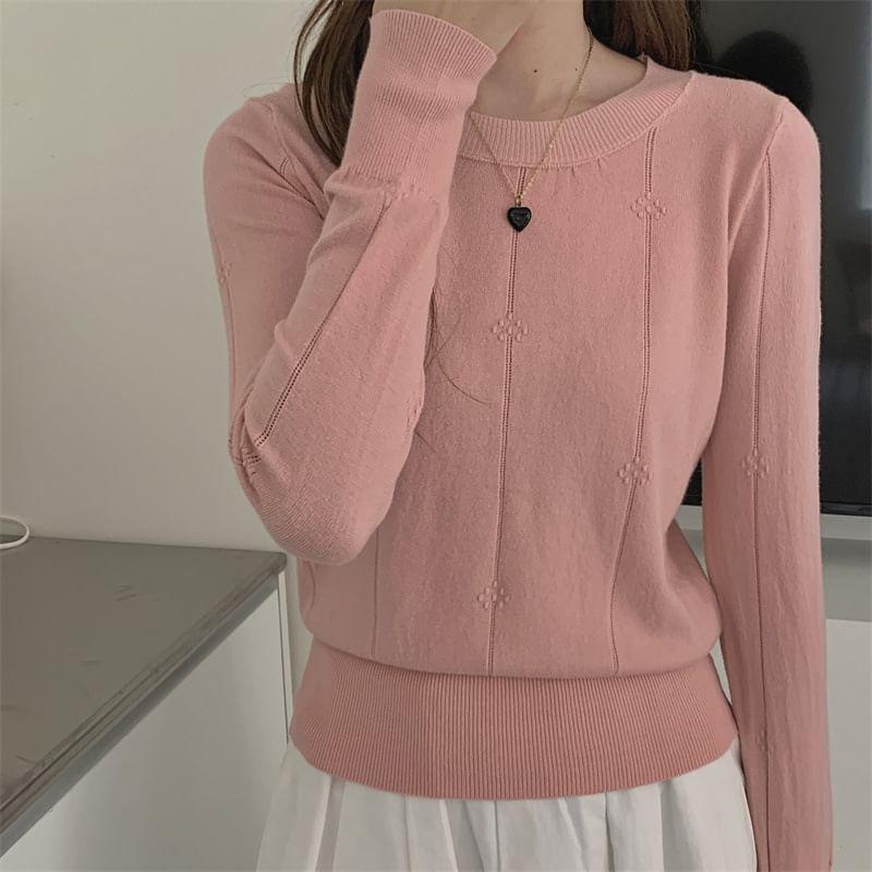 Long-Sleeve Crew Neck Plain Knit Top Product Image