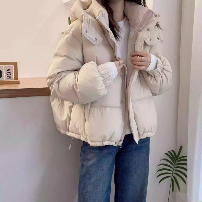 High Neck Zip-Up Puffer Jacket Product Image