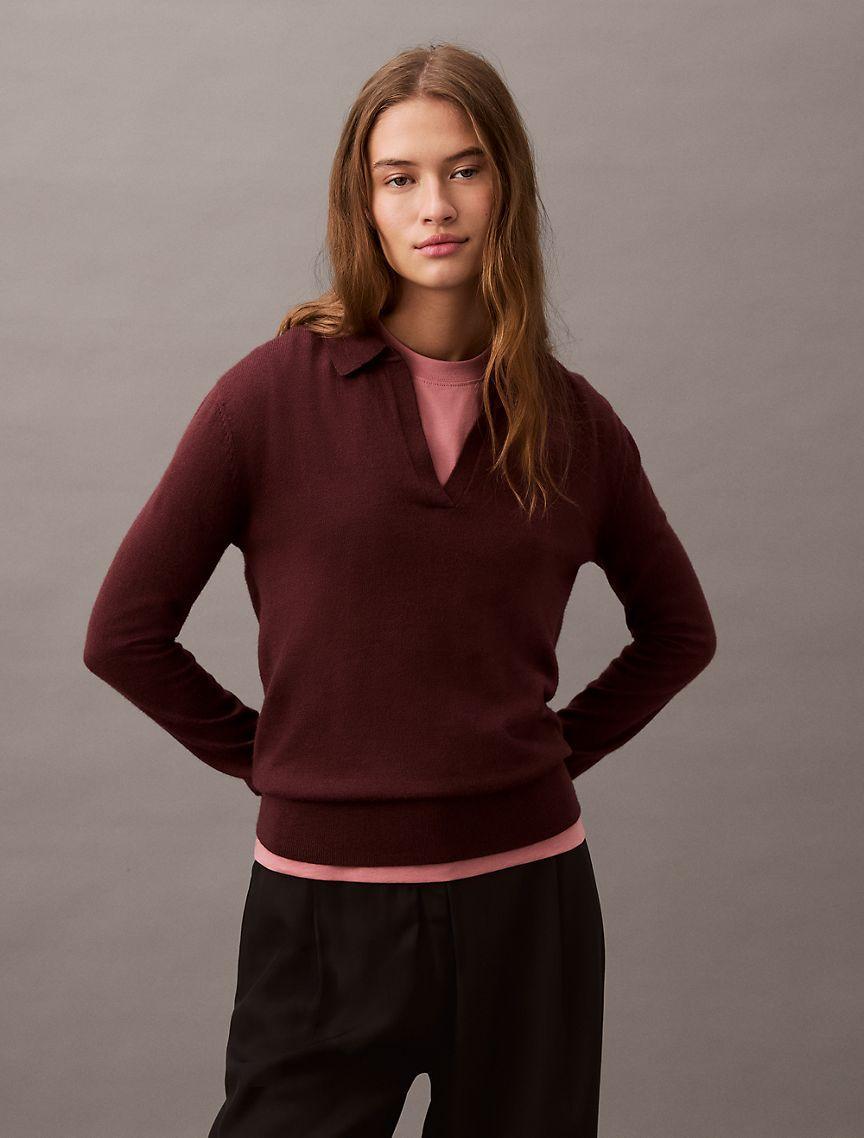 Extra Fine Merino Blend Polo Sweater Product Image