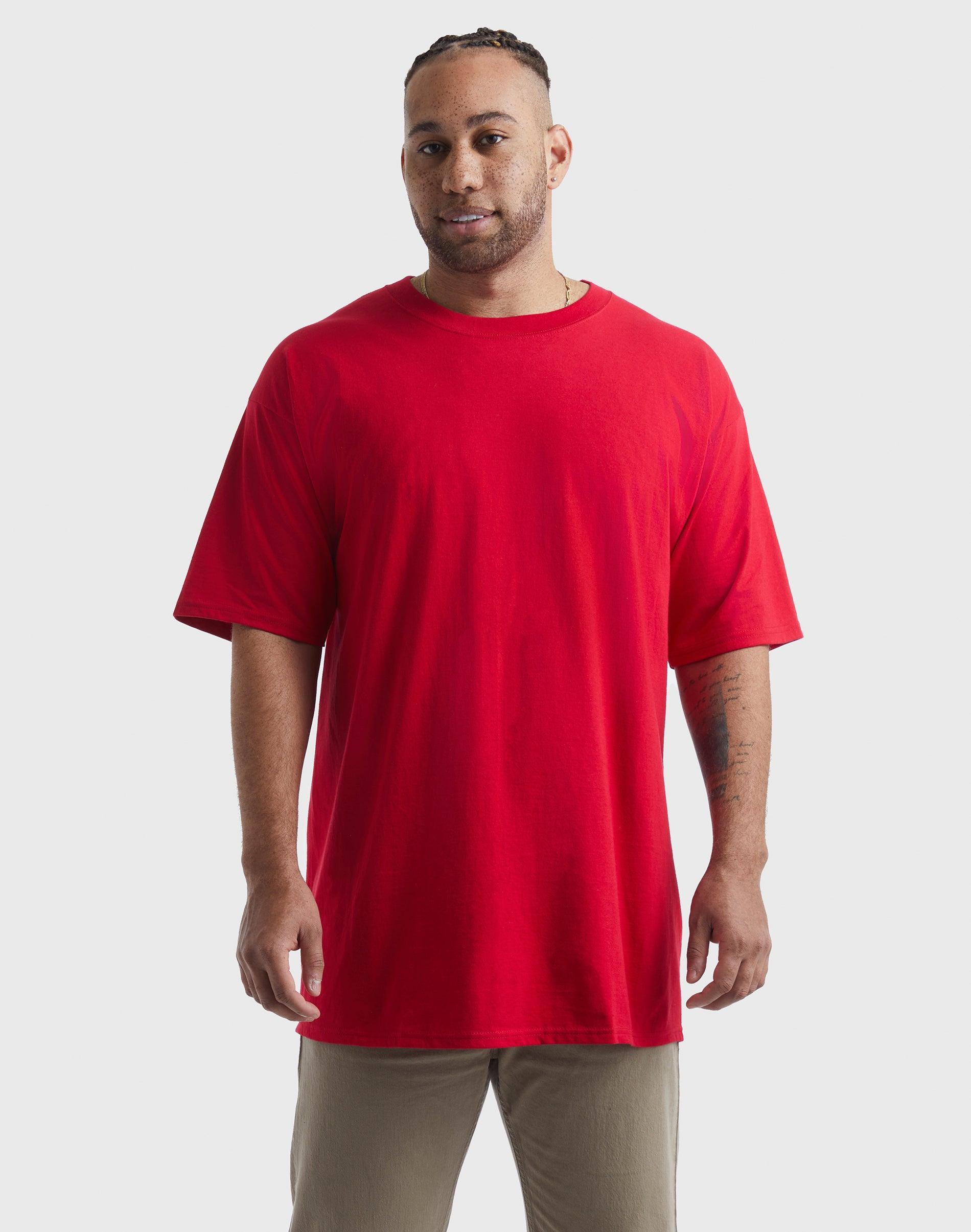 Big & Tall Hanes Beefy-T Tee, Mens Grey Product Image