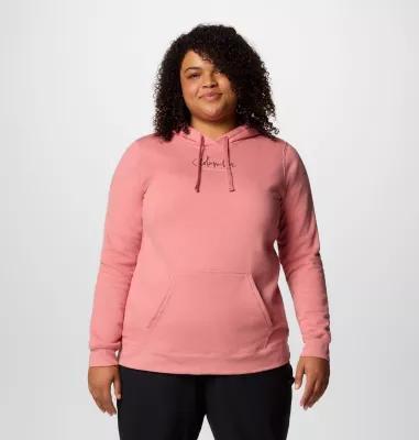 Columbia Womens Columbia Trek Graphic Treatment Hoodie - Plus Size- Product Image