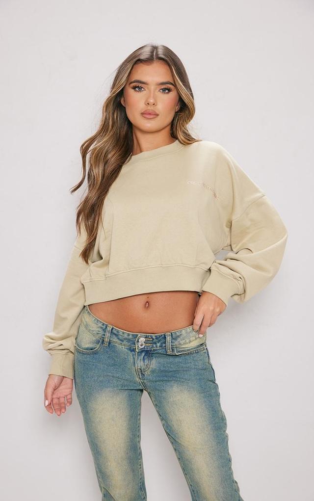 PRETTYLITTLETHING Pebble Washed Embroidered Crop Sweatshirt Product Image