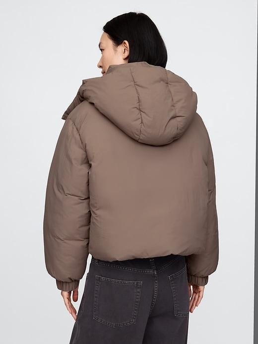 Cropped Duvet Wrap Puffer Jacket Product Image