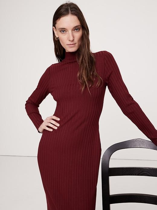 Wide Ribbed Turtleneck Maxi Dress Product Image