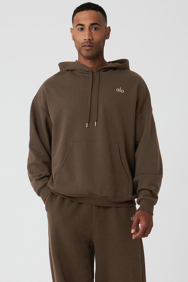 Accolade Hoodie - Espresso Male Product Image