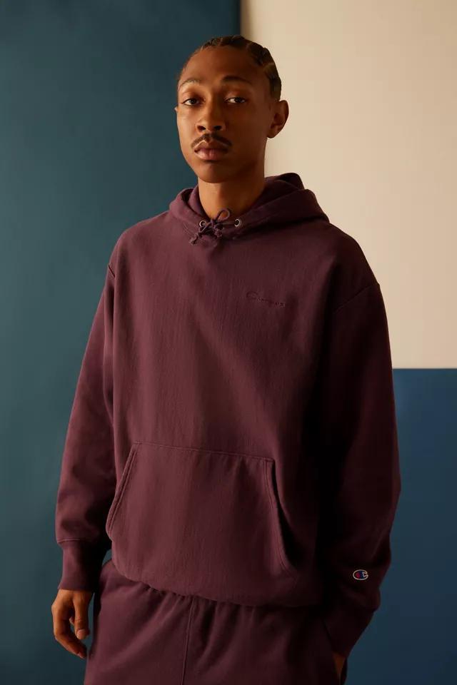 Champion UO Exclusive Arena Reverse Weave Hoodie Sweatshirt Product Image