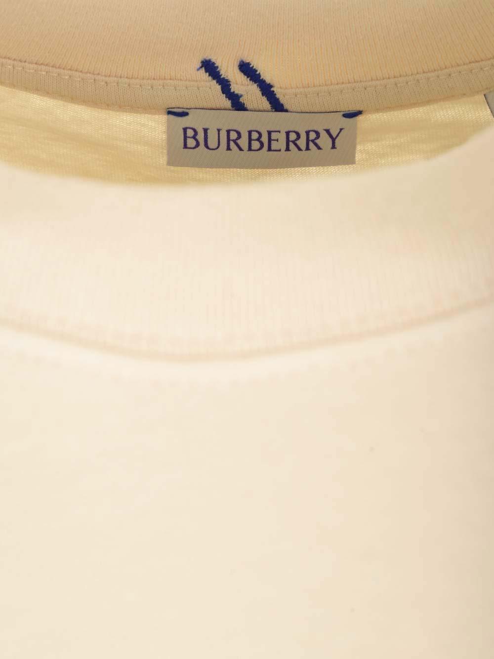 Logo Cotton Jersey T-shirt In Soap Product Image