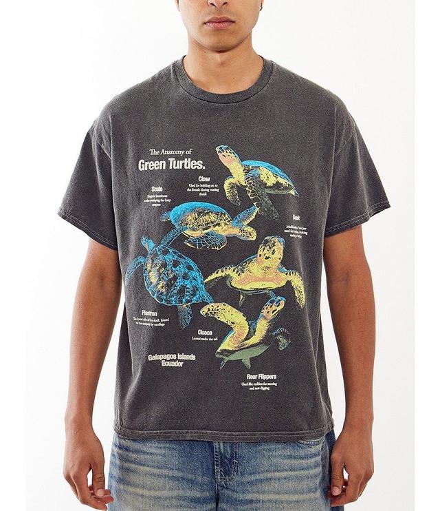 BDG Urban Outfitters Anatomy Turtles Short Sleeve Graphic T-Shirt Product Image