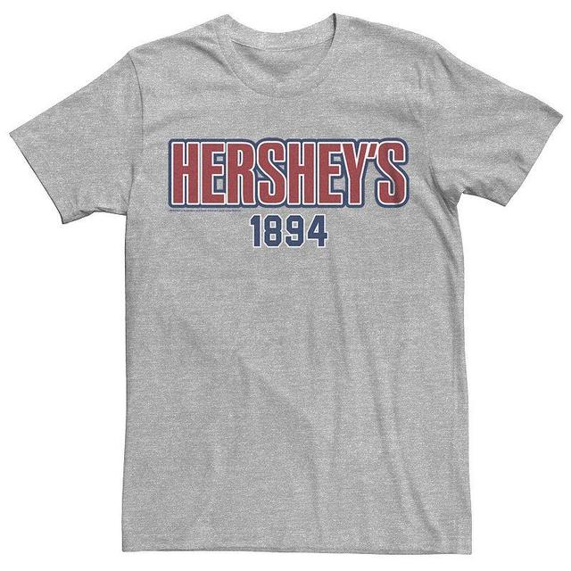 Mens Hersheys 1894 Plaid Graphic Tee Athletic Grey Product Image