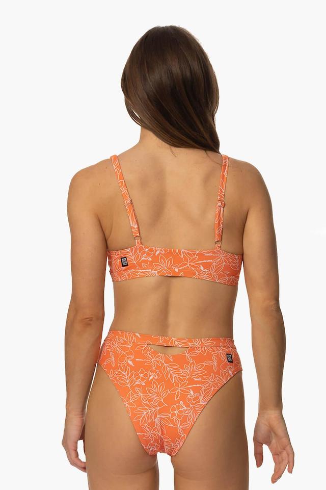 Nora Bikini Bottom - Crystal Cove Female Product Image