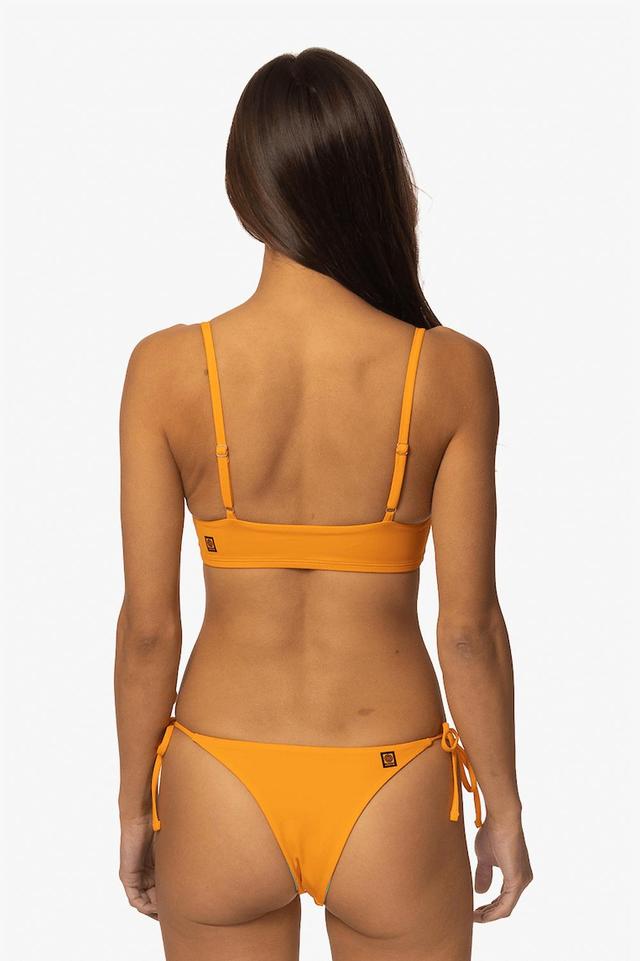 Salina Bikini Bottom - Harmony Product Image