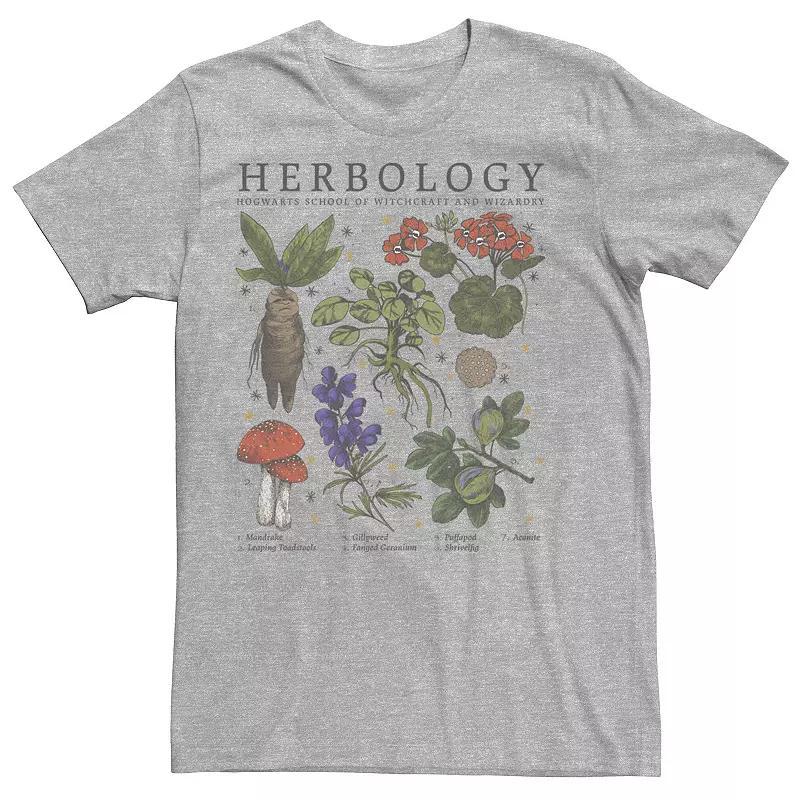 Mens Harry Potter Herbology Plants Tee Athletic Grey Product Image