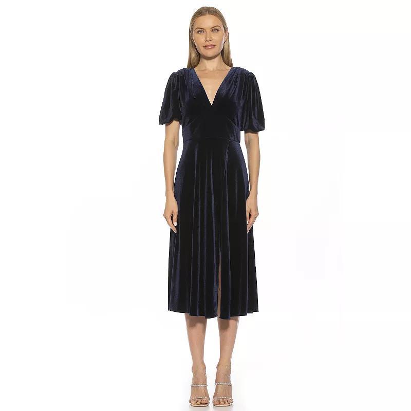 Alexia Admor Womens Nola Velvet Fit & Flare Dress Product Image