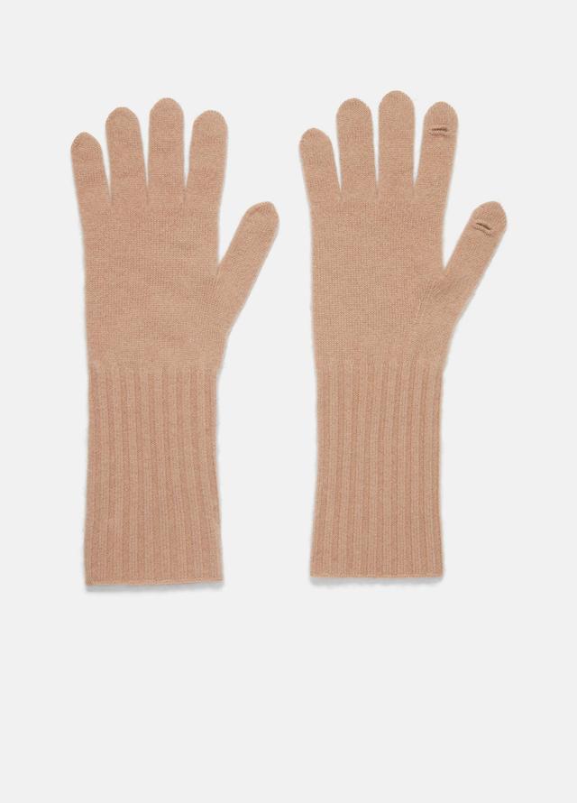 Plush Cashmere Glove Product Image