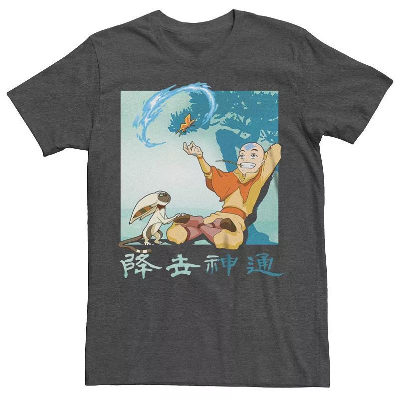 Mens Avatar: The Last Airbender Aang And Momo Tee Product Image