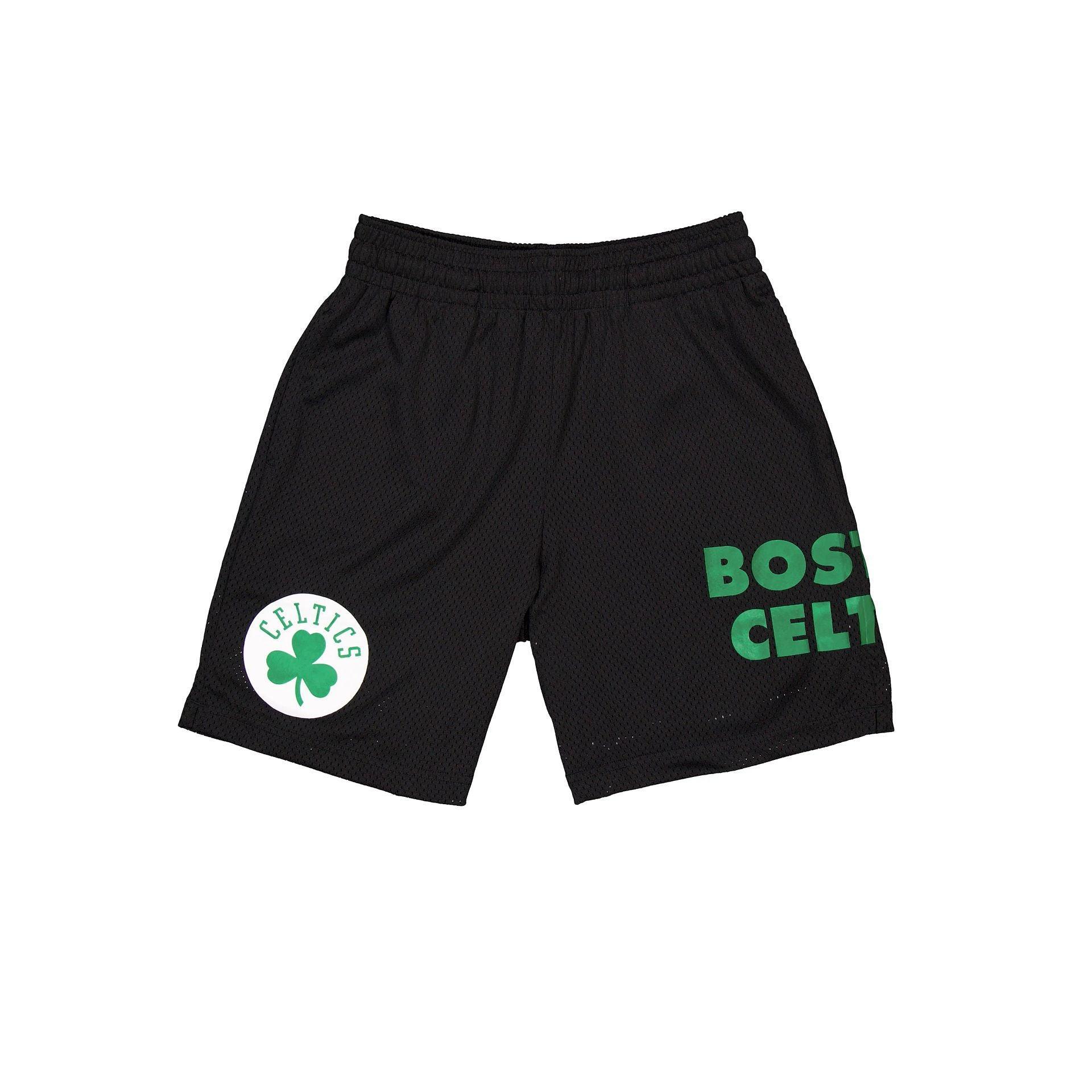 Boston Celtics Mesh Shorts Male Product Image