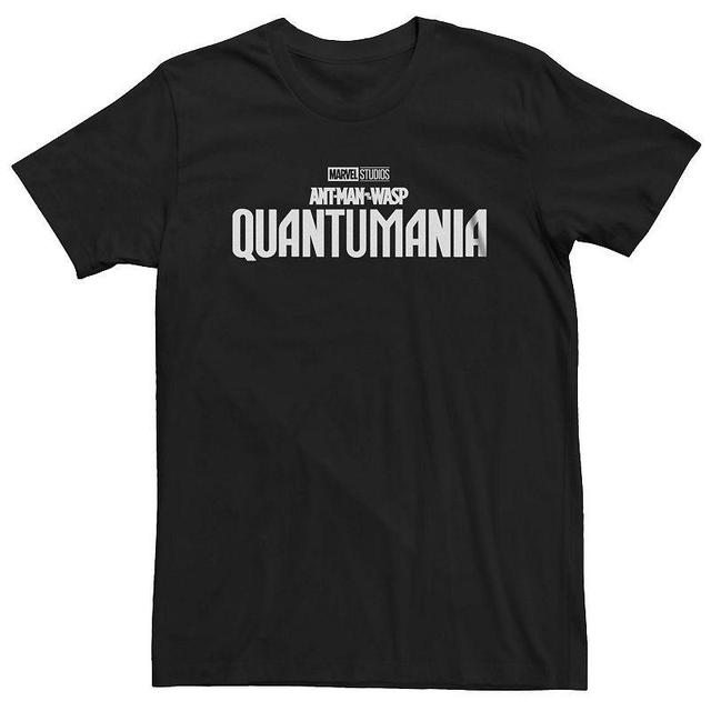 Big & Tall Marvel Ant-Man And The Wasp: Quantumania Logo Tee, Mens Product Image