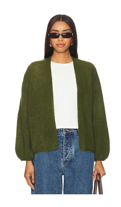 CARDIGAN JUNIPER Product Image