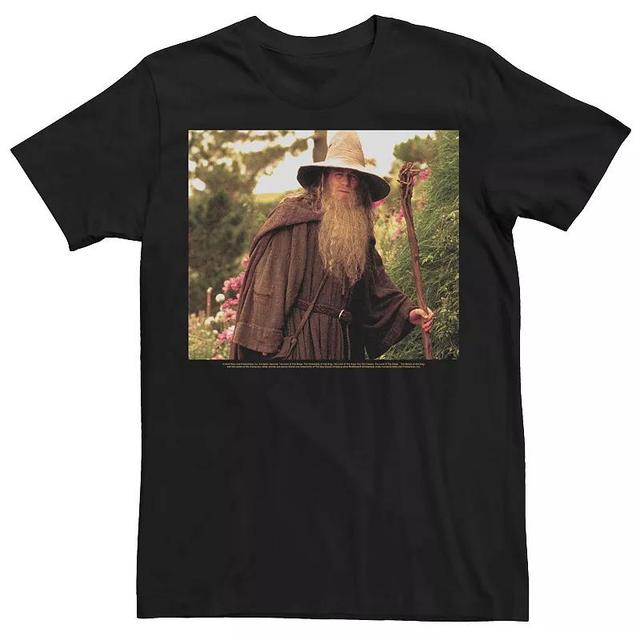 Mens The Lord Of The Rings Gandalf Traveling Portrait Tee Black Product Image