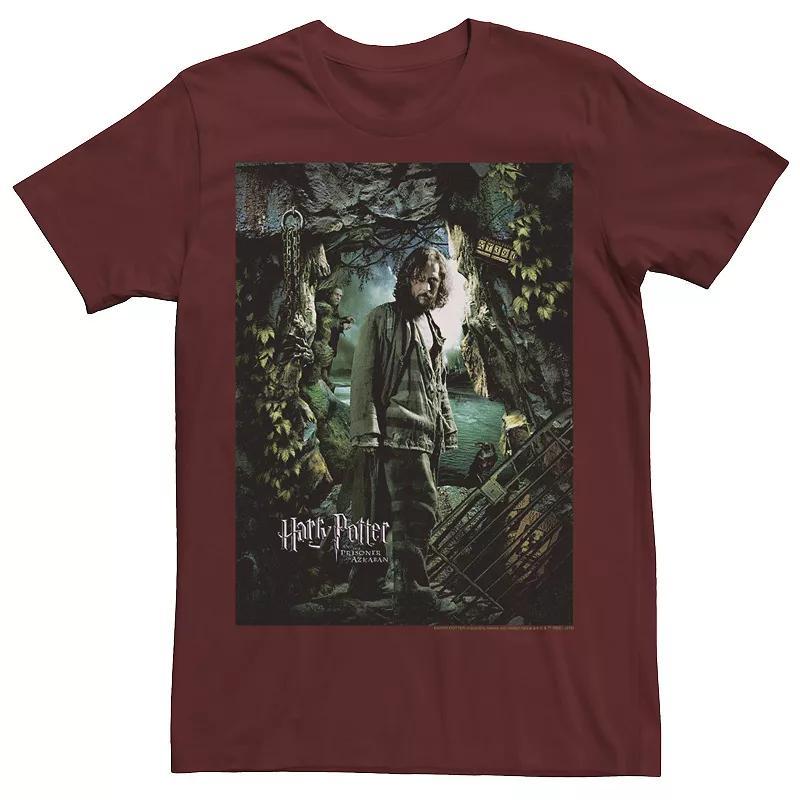 Mens Harry Potter Prisoner Of Azkaban Sirius Black Portrait Graphic Tee Athletic Grey Product Image