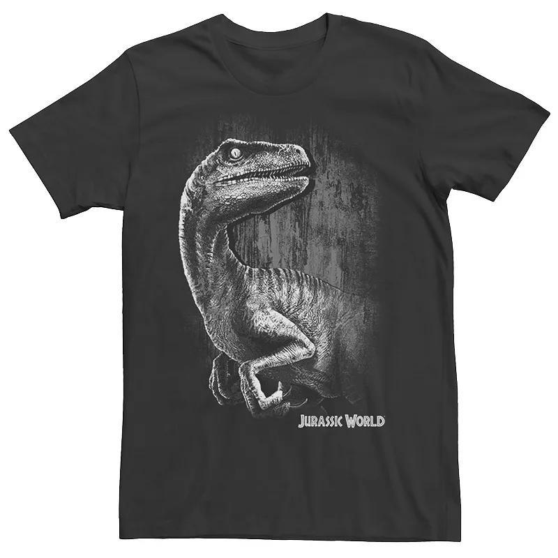 Mens Jurassic World Raptor Grunge Tee Product Image