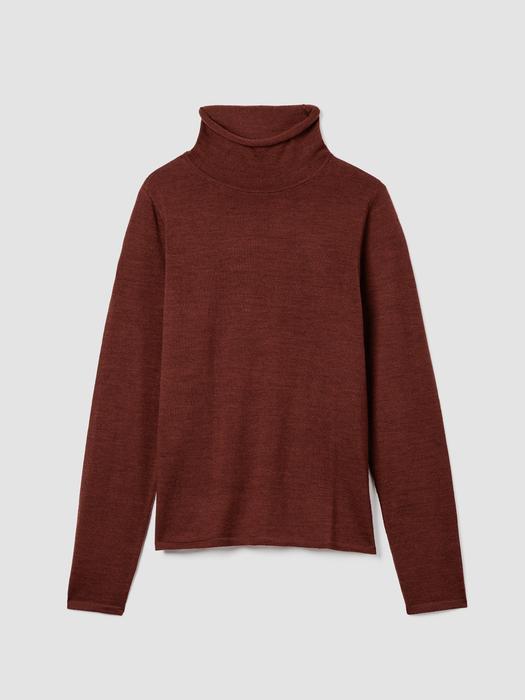 Fine Merino Turtleneck Top in Regenerative Wool Product Image