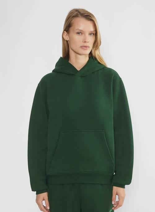 cozy fleece perfect hoodie Product Image