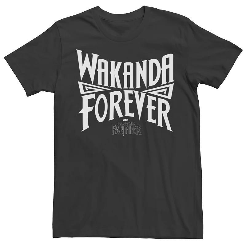 Mens Marvel Panther Wakanda Power Graphic Tee Product Image