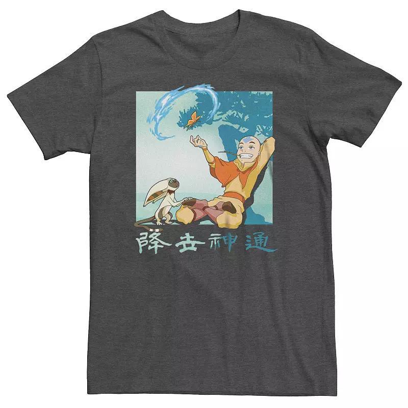 Big & Tall Avatar The Last Airbender Aang And Momo Tee, Mens, Size: 3XB, Dark Grey Product Image