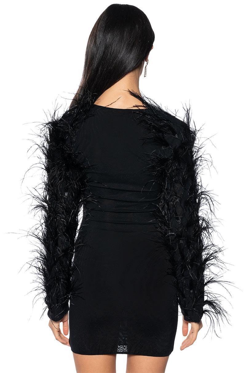 RUFFLE MY FEATHERS MESH MINI DRESS Product Image