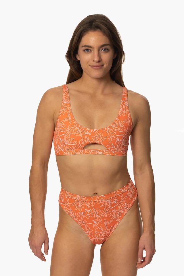 Nora Bikini Bottom Product Image