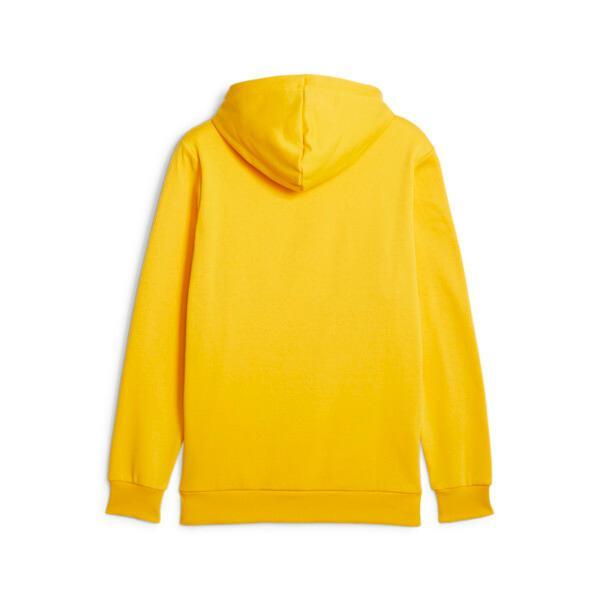 PUMA Essentials Big Logo Men's Hoodie Product Image