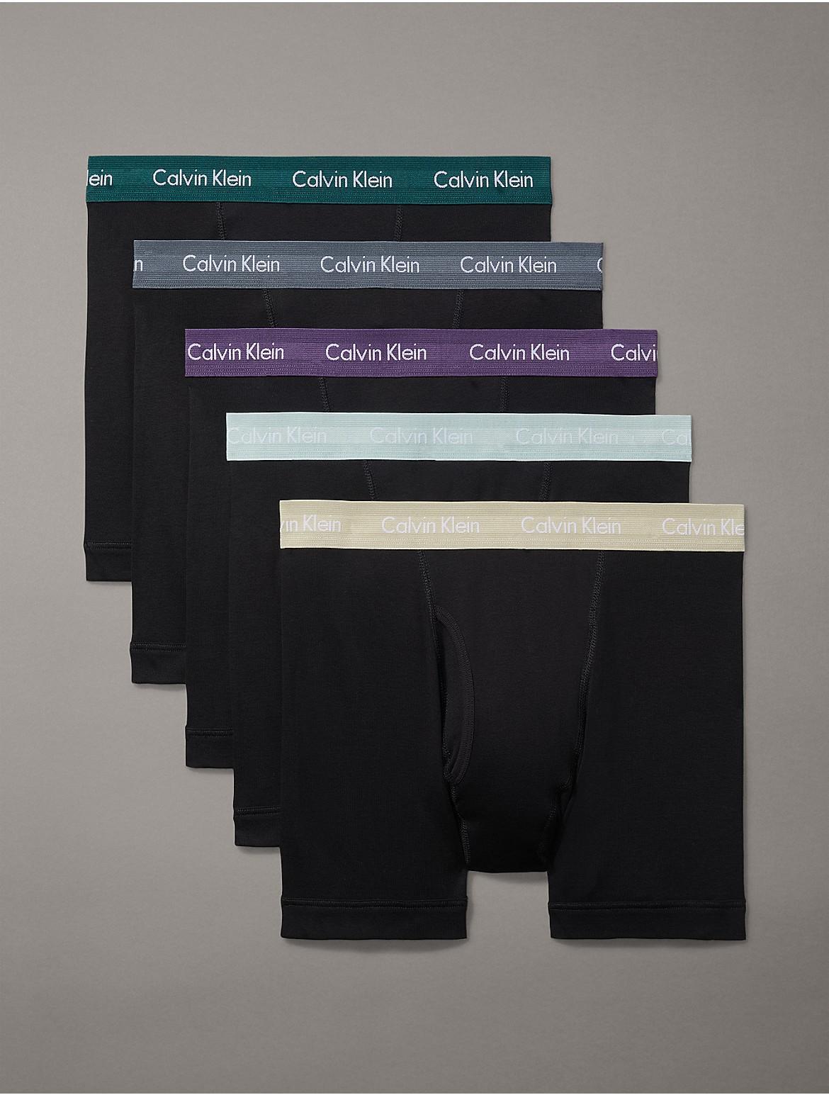 Calvin Klein Men's Cotton Classics 5-Pack Boxer Brief - Multi - L Product Image