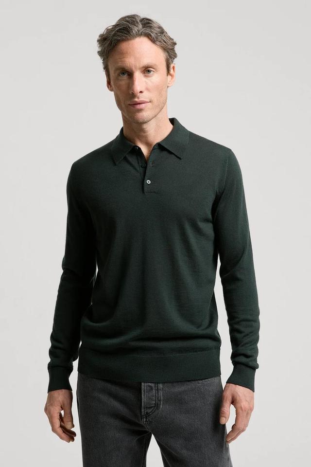 The Merino Wool Polo Product Image