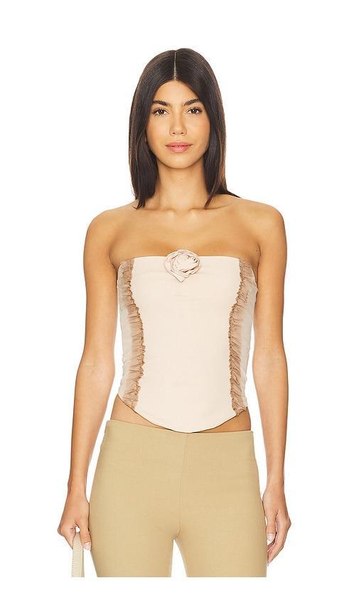 Frap Rose Tube Top Product Image