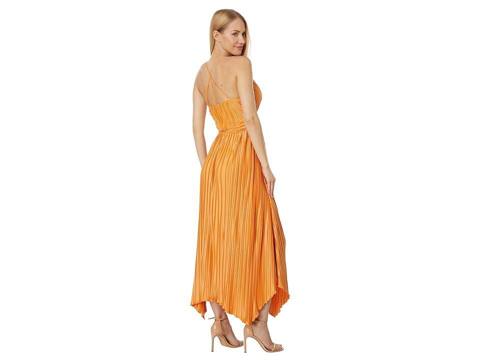 en saison Ilianna Maxi Dress Women's Clothing Product Image