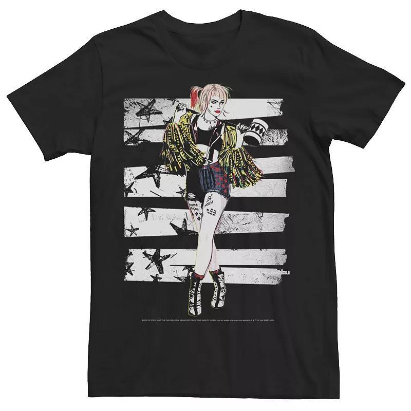 Mens Harley Quinn: Birds of Prey Stars And Stripes Tee Product Image