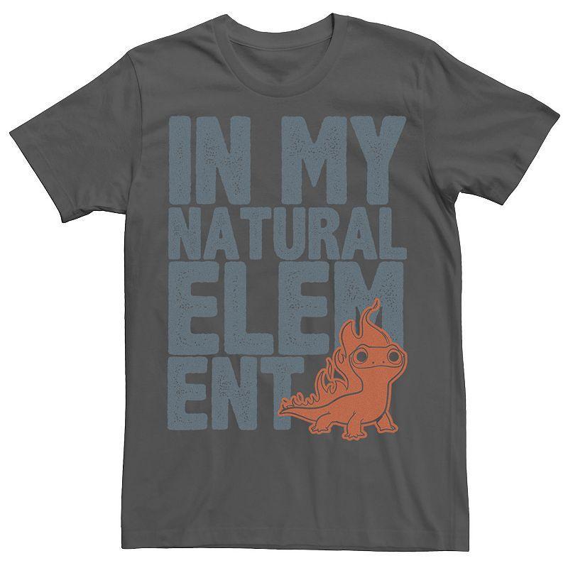 Mens Frozen 2 Salamander Natural Element Text Stack Tee Grey Product Image