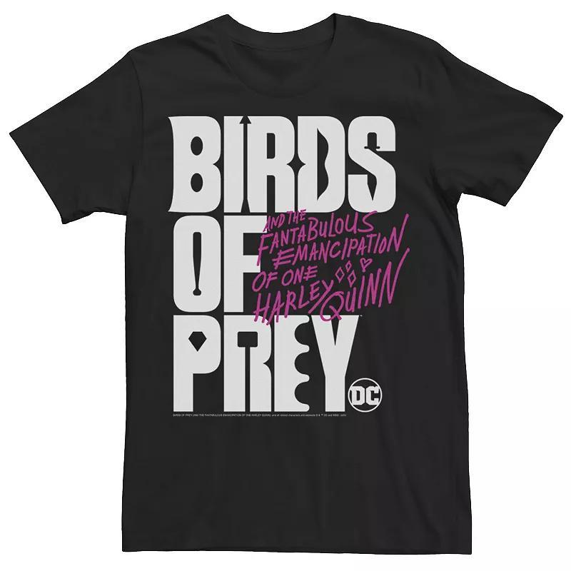 Mens Harley Quinn: Birds of Prey Stacked Text Logo Tee Product Image