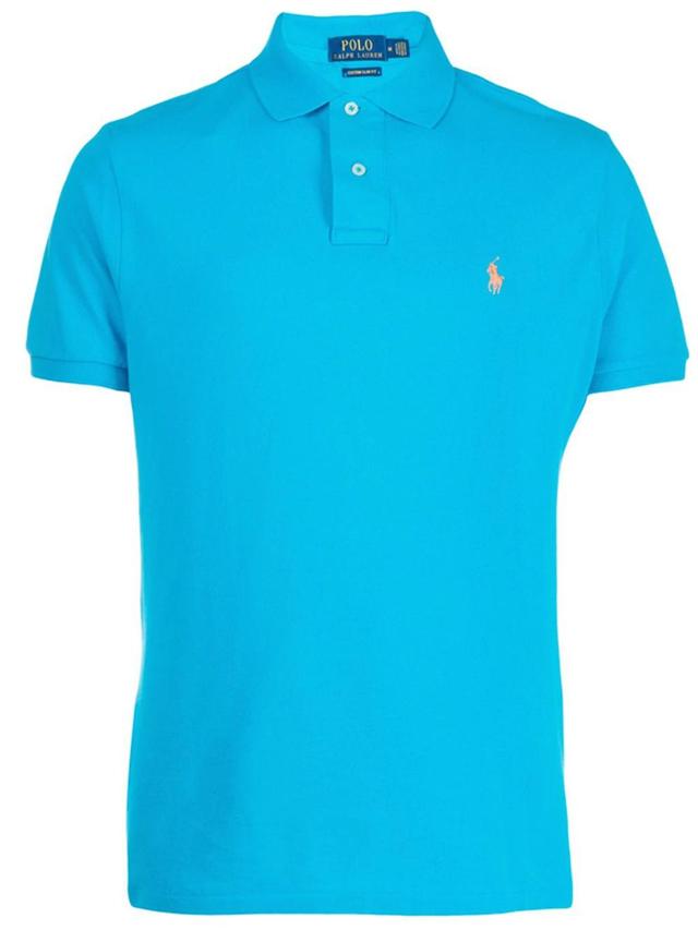 Embroidered-logo Polo Shirt In Blue Product Image