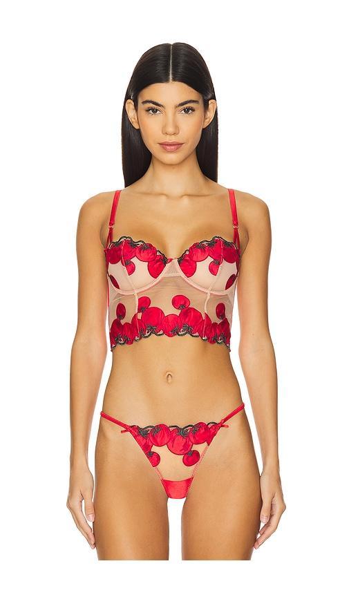 x REVOLVE Tomato Embroidery Longline Bra Product Image