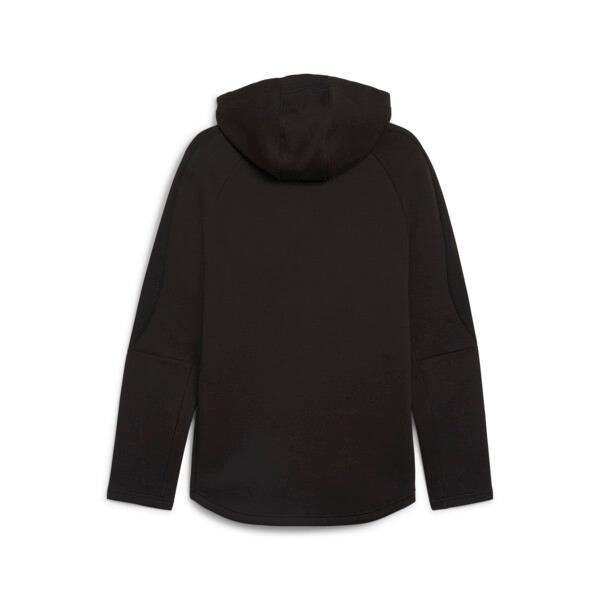 EVOSTRIPE Full-Zip Men's Hoodie Product Image