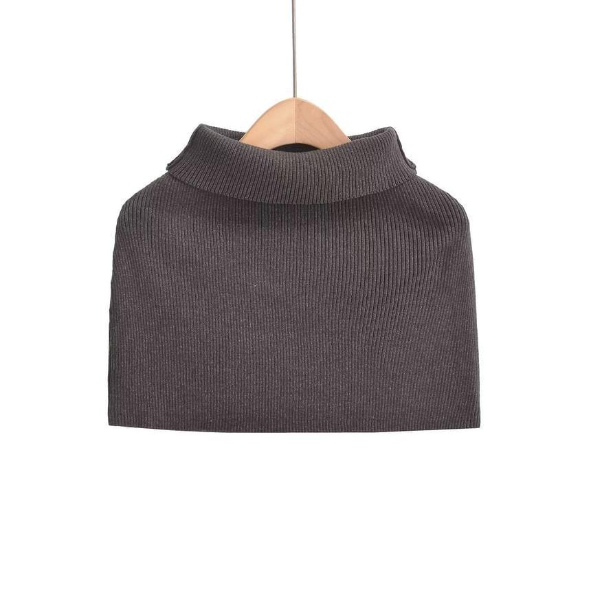 Turtleneck Plain Ribbed Sweater Product Image