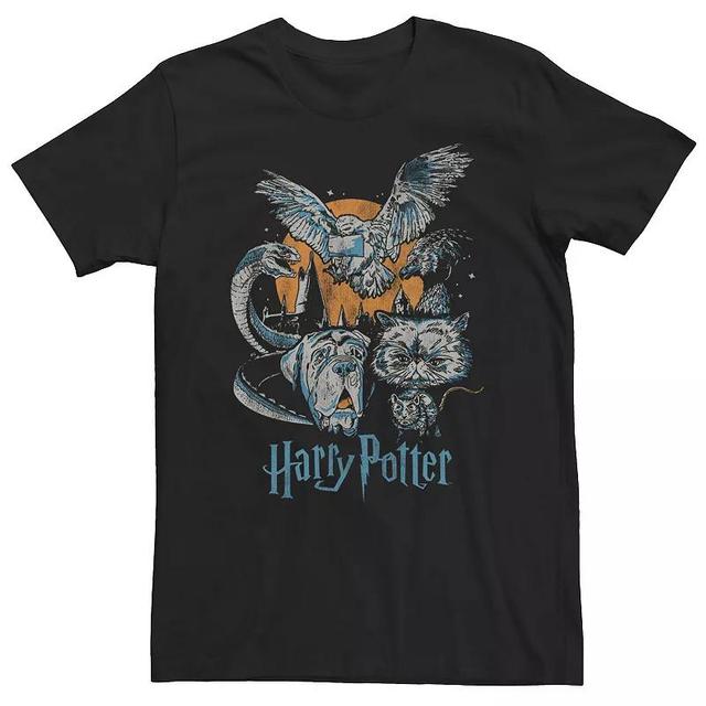 Big & Tall Harry Potter Familiar Sketch Portrait Tee, Mens Product Image