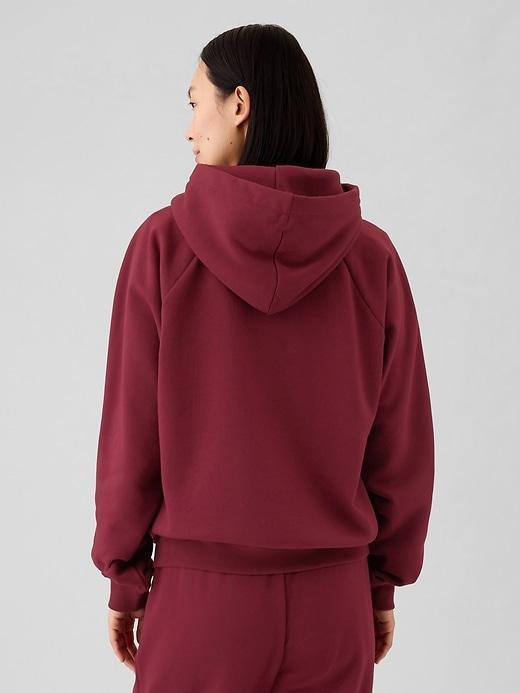 Vintage Soft Hoodie Product Image