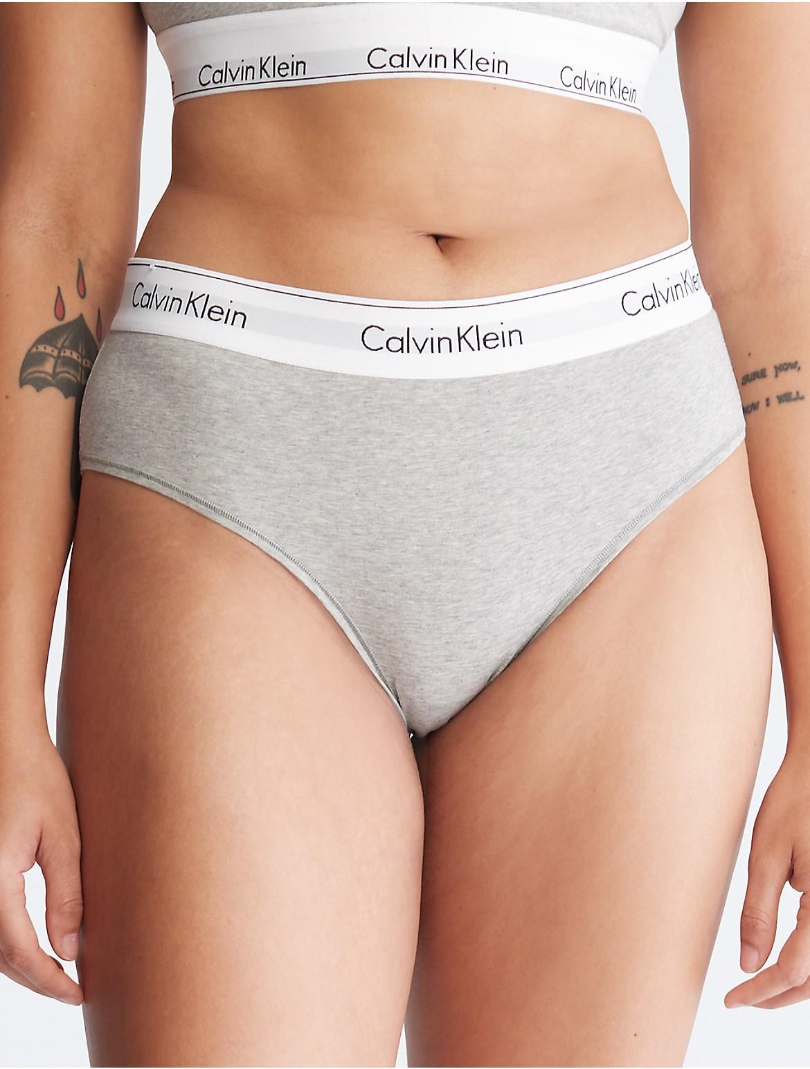 Plus Size Calvin Klein Modern Cotton Hipster Panty QF5118, Womens Product Image