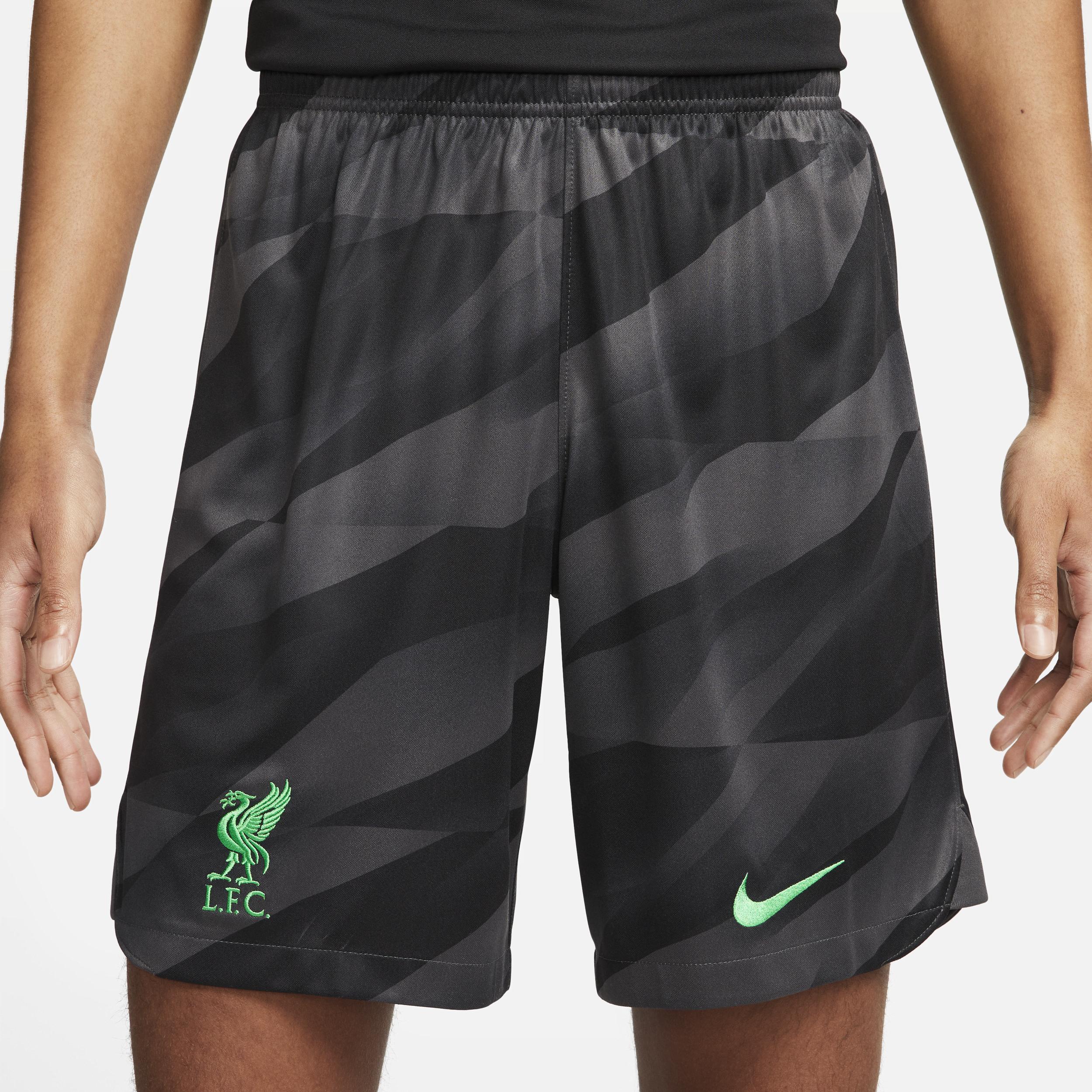 Mens Nike Anthracite Liverpool 2023/24 Stadium Goalkeeper Performance Shorts Product Image